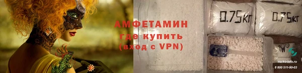 прущие грибы Абаза