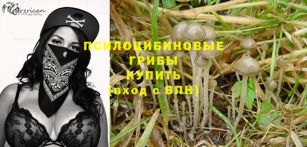сатива Заволжск