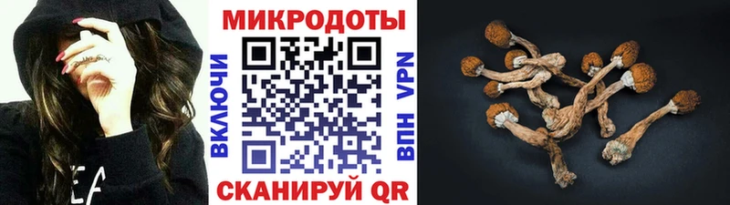 Псилоцибиновые грибы Psilocybe  Дрезна 